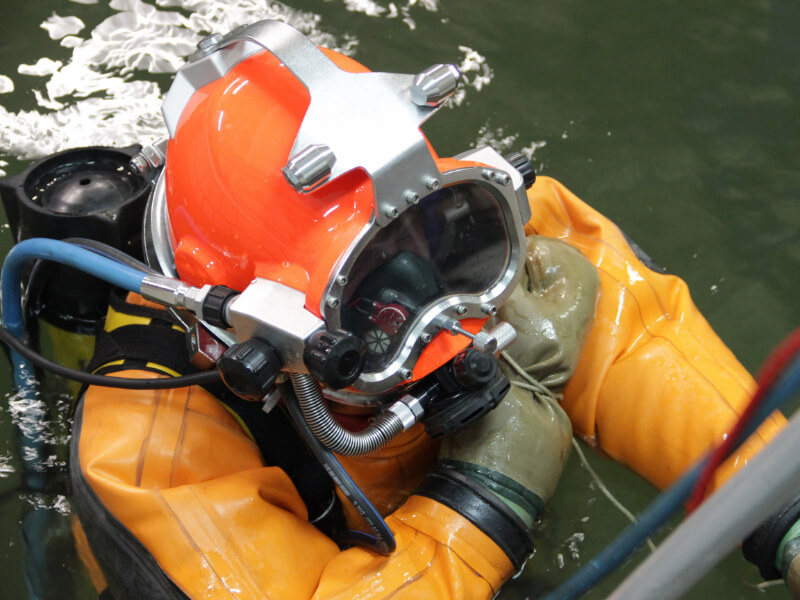 Expert Determination